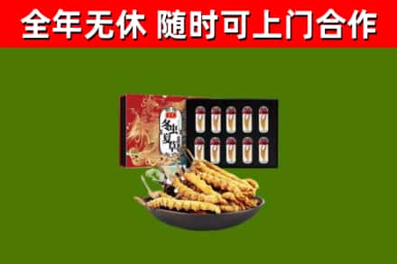 大英回收冬虫夏草价格